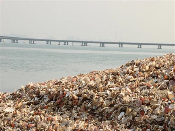 從習大大說綠水青山就是金山銀山”看貝殼粉涂料行業前景