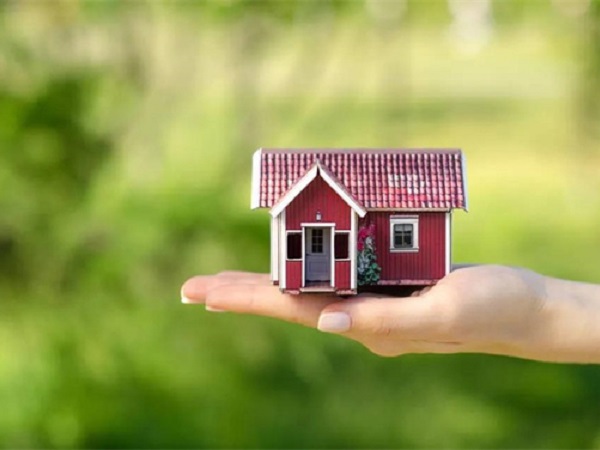 碳中和背景下貝殼粉涂料的發(fā)展前景! 碳中和背景下貝殼粉涂料的發(fā)展前景!